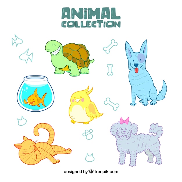 Variety of hand drawn animals 