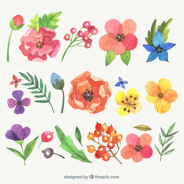 Variety of hand painted flowers