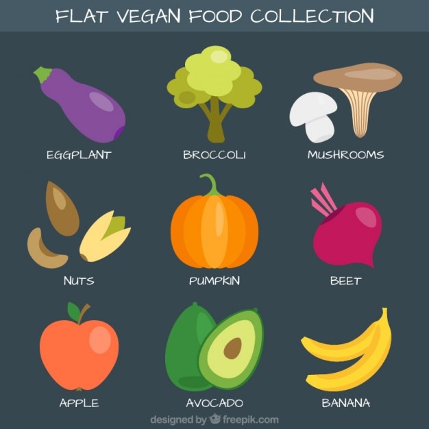 Free Vector variety of healthy food