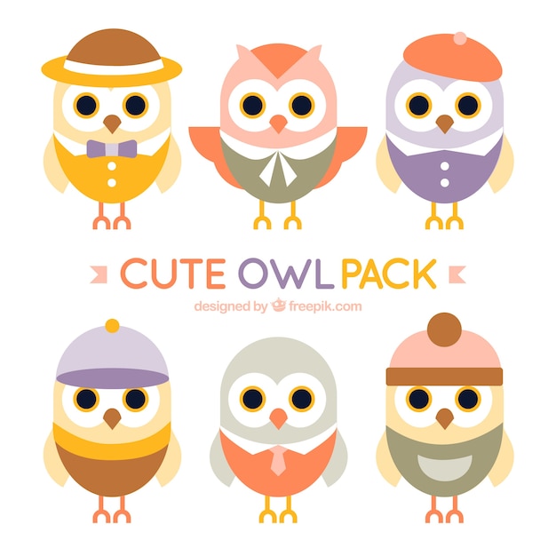 Free Vector variety of lovely owls with accessories