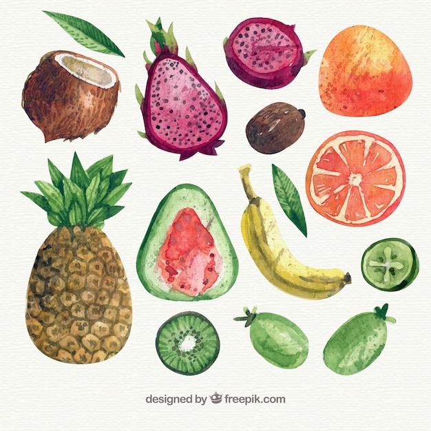 Free Vector variety of pieces of fruit in watercolor style