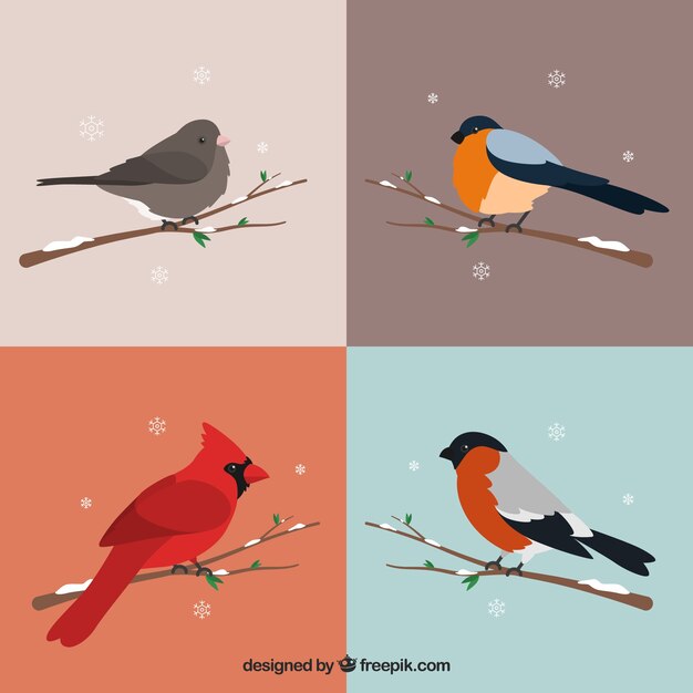 Variety of pretty birds on a branch