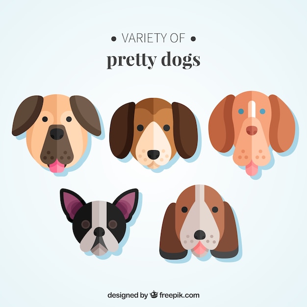 Free vector variety of pretty dogs