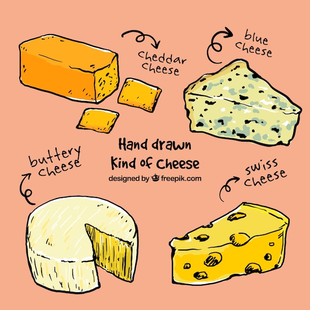 Variety of sketches cheese