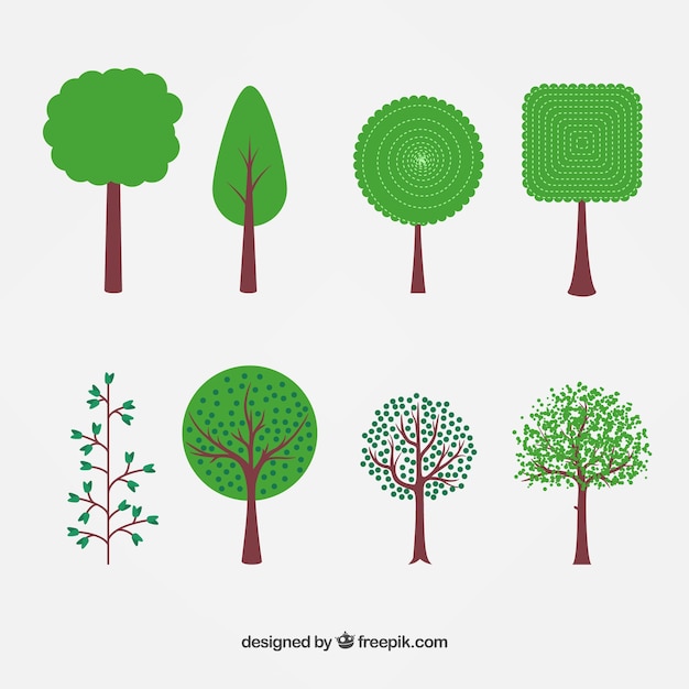 Free Vector variety of spring trees