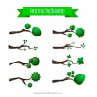 Free vector variety of tree branches