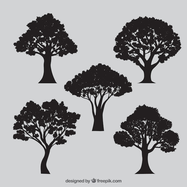 variety of tree silhouettes