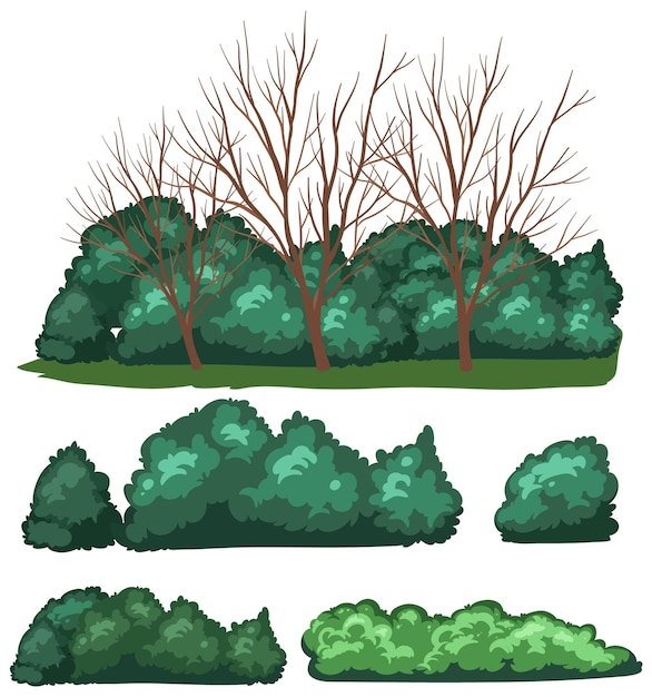 Variety trees on white background