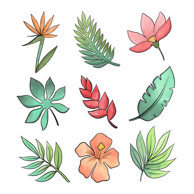 Free Vector variety of tropical leaves and flowers