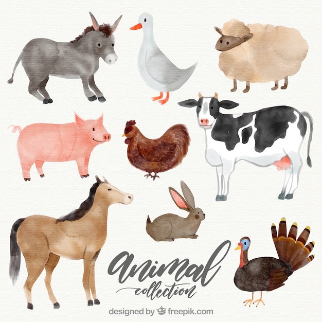 Variety of watercolor animals