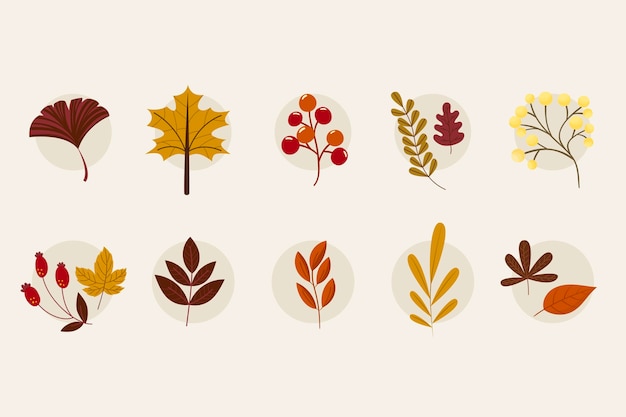 Various autumn foliage collection