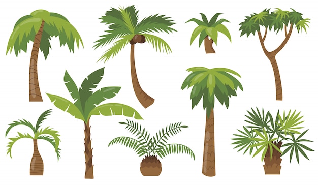 Free vector various cartoon palm trees flat icon set