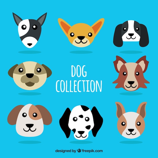 Free vector various dogs in flat design