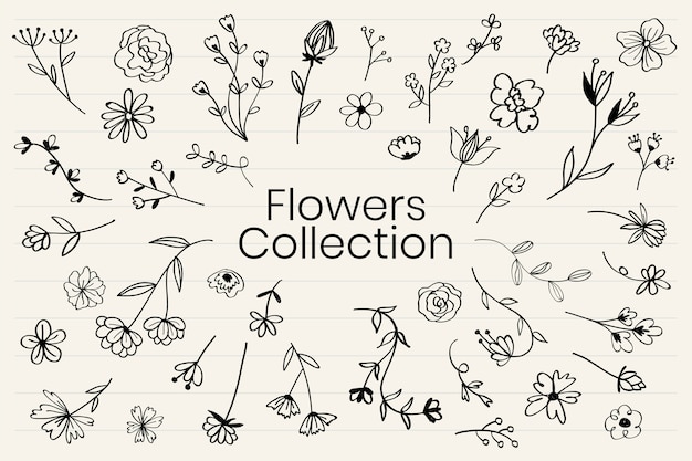 Free Vector various flowers doodle collection vector