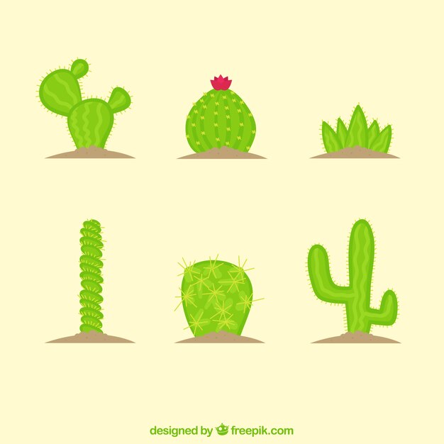 Various hand drawn cacti