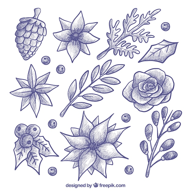 Free Vector various hand drawn flowers and plants 