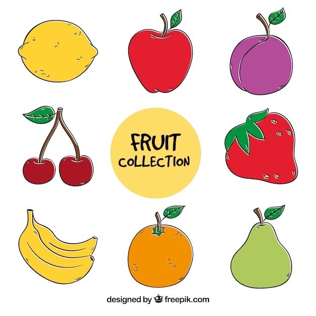 Various hand-drawn fruits