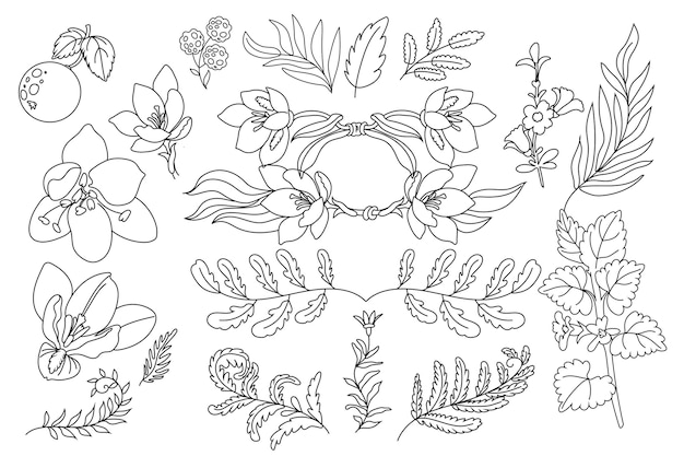 Free Vector various hand drawn line art floral illustrations