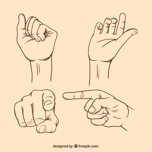 Various hand-drawn sign language gestures