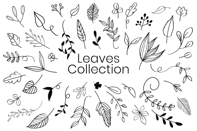 Various leaves doodle collection vector