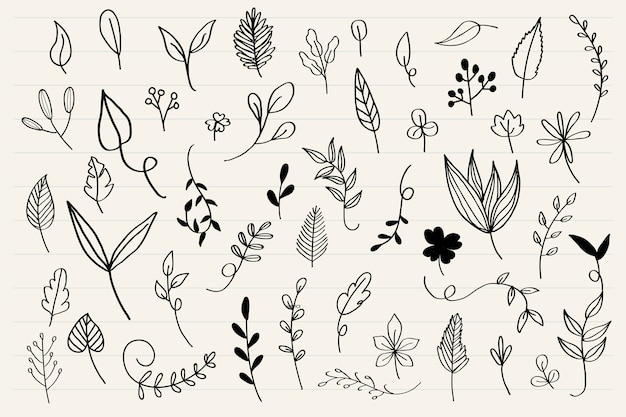 Various leaves doodle collection vector