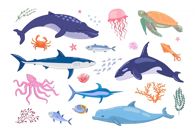 Various marine animals flat icon set