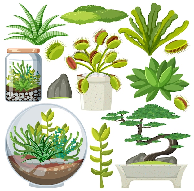 Free Vector various plants seamless pattern