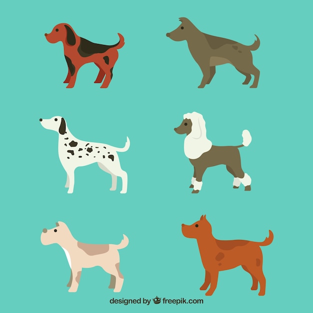 Free vector various profile dogs in flat design