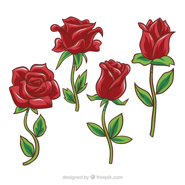 Various red roses with different designs