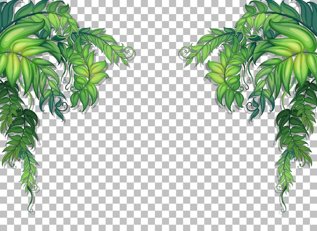 Various tropical leaves on transparent background