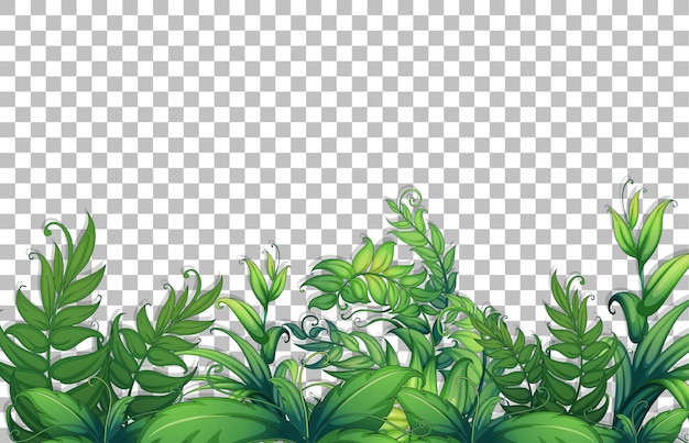 Various tropical leaves on transparent background