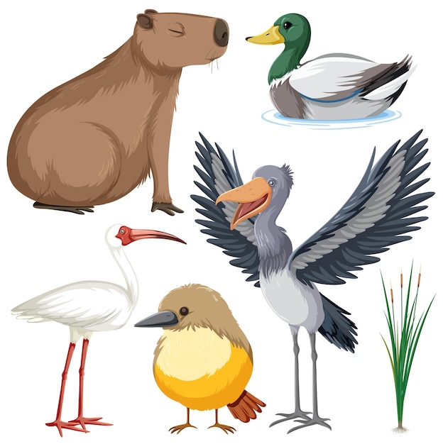 Free Vector various wetland animals collection