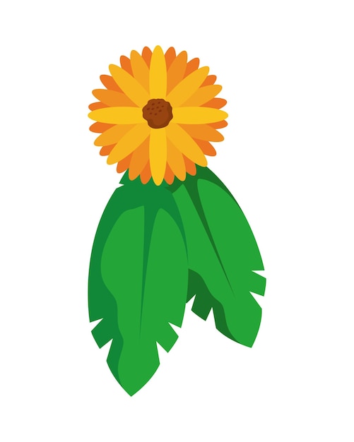 Free Vector vasant flower and leaf