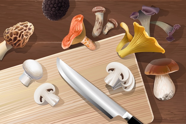 Vector background with various kind of edible mushrooms