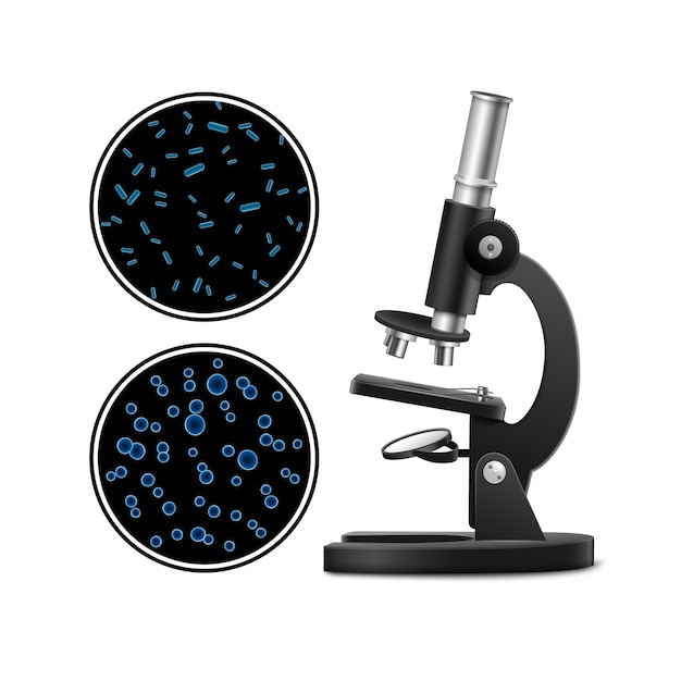 Vector black metal optical microscope with petri dish and bacterial colonies isolated on background