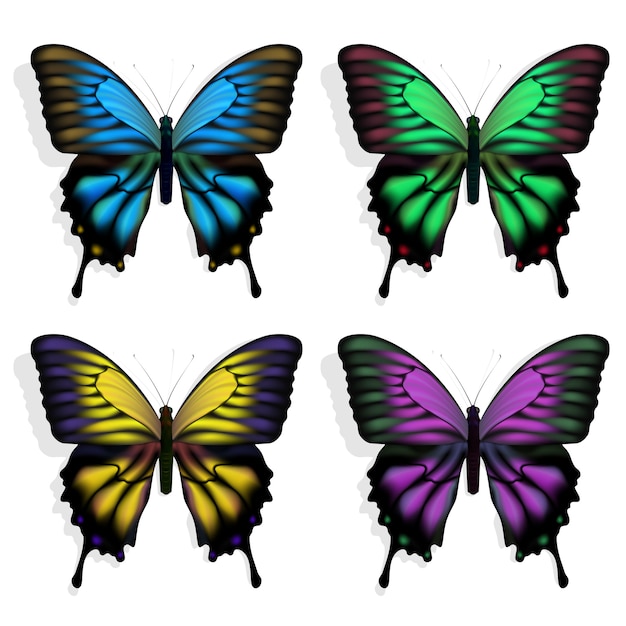 Vector blue, green, purple and yellow butterflies on white