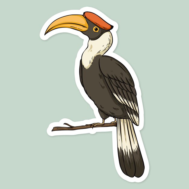 Vector cartoon sticker hornbill hand drawn clipart