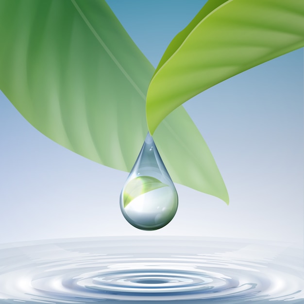 Free Vector vector clean shiny blue drop with circles on water and green leaves close up front view