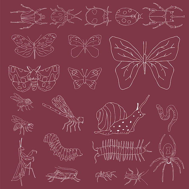 Vector of different kinds of insects