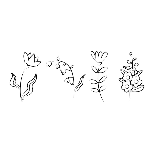 Free Vector vector illustration flower line art set