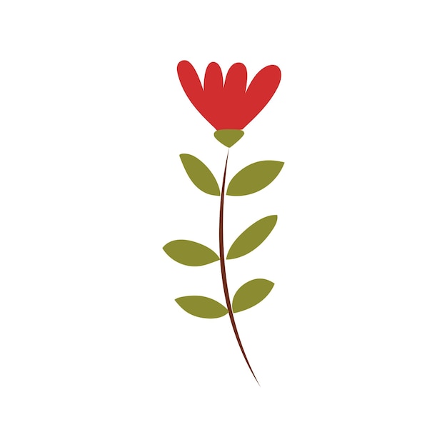 Free Vector vector illustration flower