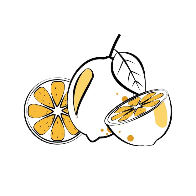 Free Vector vector illustration lemon line art set