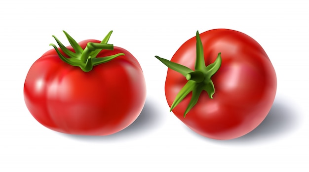 Free Vector vector illustration of a realistic style set of red fresh tomatoes with green stems