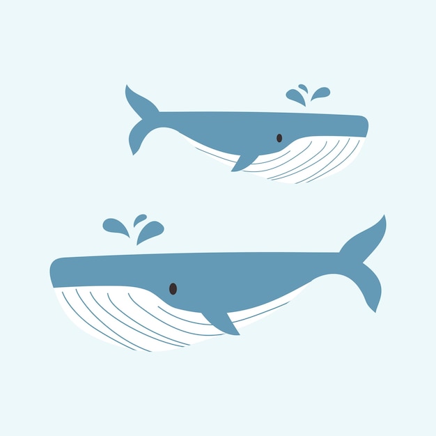 Free Vector vector illustration whale colorful