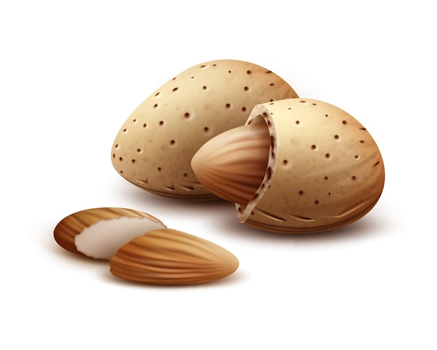 Free Vector vector realistic shelled, unshelled almond nuts close up side view isolated on white background