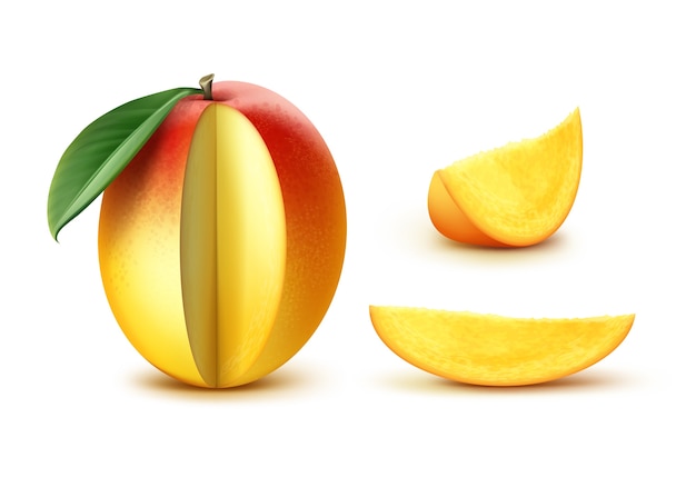 Free Vector vector ripe yellow, orange, red slised mango with leaf isolated on white background