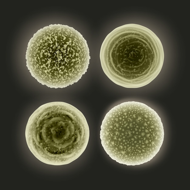 Free Vector vector set of abstract dirty green cocci bacteria isolated on dark background