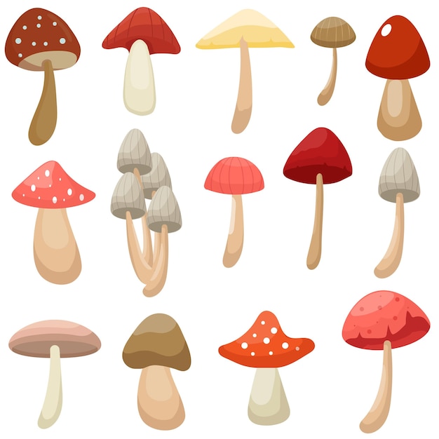 Free Vector vector set mushroom collection