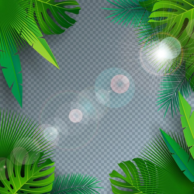 Vector Summer Illustration with Tropical Palm Leaves on Transparent Background