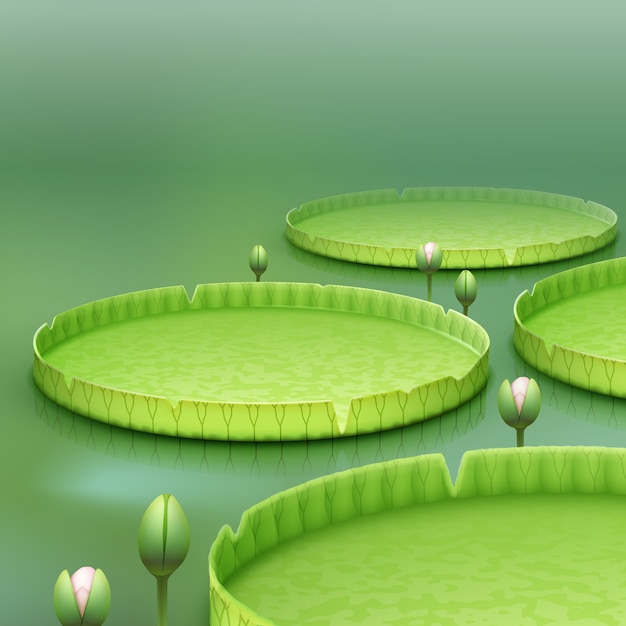 Free Vector vector tropical plant giant amazon water lily pad or huge floating lotus victoria amazonica on green blur background